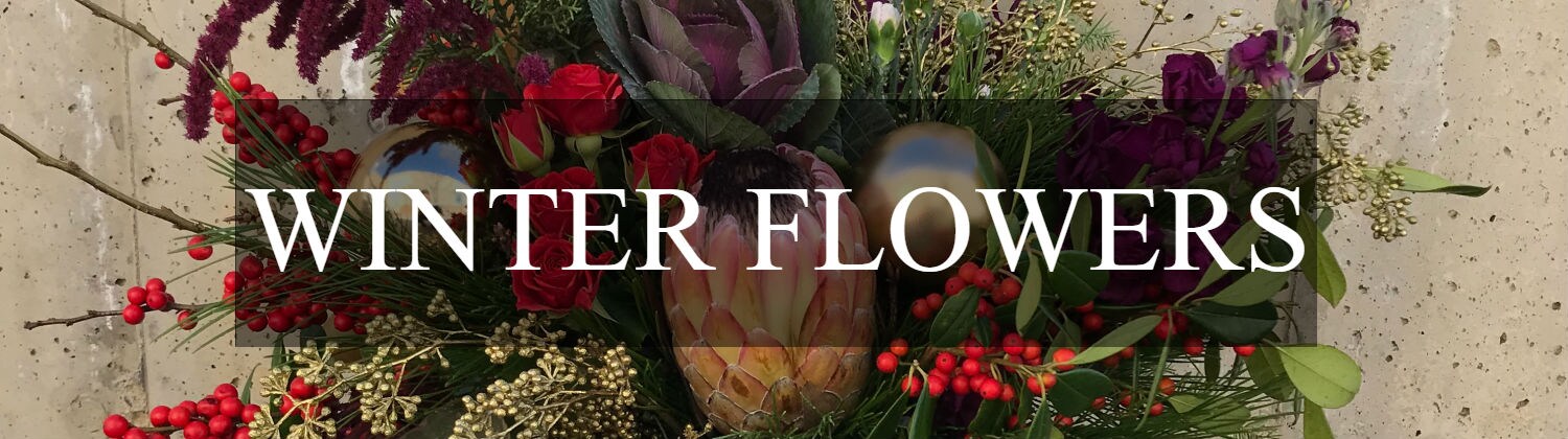 Flower Delivery to Ft. Collins by Paul Wood Florist